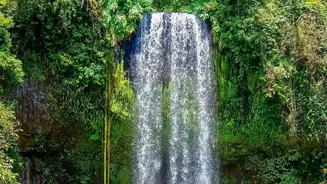 Nature Lovers Are Booking Rainforest Getaways This Season