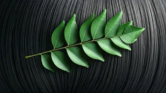 Curry Leaves for Grey Hair: A Natural Remedy for Hair Health and Shine