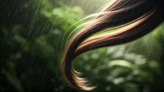 Rainy Weather Could Be Ruining Your Hair