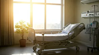 Healthy Aging: Understanding Mental Health in Later Life