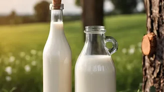 Rising Heat: The Climate Pressure Building Across India’s Dairy Sector
