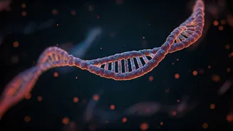 Extracellular RNA: Unlocking Bacterial Secrets and Revolutionizing Medicine