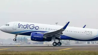 Delhi-Patna IndiGo Flight Diverted Mid-Air Due to Severe Weather, Passengers Panic - WATCH