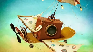 Purpose-Free Travel: The Verified Facts