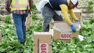 Latest Update On Food Safety Standards For Bhujia And Namkeen