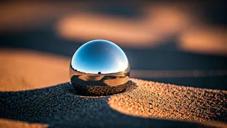 Bhagavad Gita's Core: Controlling Senses, Finding Peace