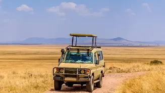 Wildlife Tourism Fails When Every Vehicle Competes for the Same Angle