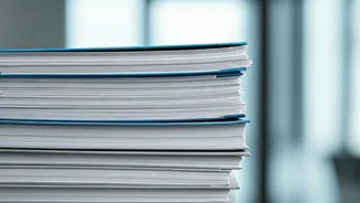 India's Job Market: A Look at Growth