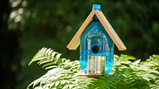 DIY Birdhouses: Creative Ways to Recycle Materials for Your Feathered Friends