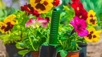 Do Not Buy Seeds Before Checking Local Planting Conditions