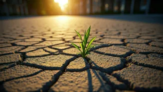 Heat Trends Need Human, City-Level Explainers