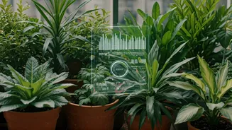 Transform Your Balcony into a Lush Oasis with AI Gardening Tools