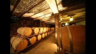5 vinícolas perto de Montevidéu e Punta del Este