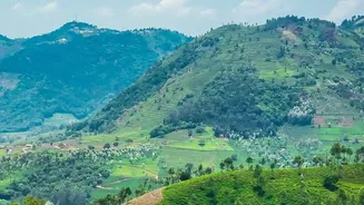 Araku Valley Plantation Stays Experience High Monsoon Demand From Health-Conscious City Travellers