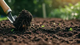 Rain-Softened Soil Makes Garden Prep Less Painful