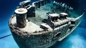 Secrets of the ocean floor revealed