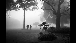 Delhi Records Coolest October Morning in Three Years; Gurgaon Experiences Coldest Night at 12°C