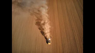 20 Fresh Stubble Burning Cases Reported in Punjab