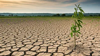 What IMD's July Outlook Means Today