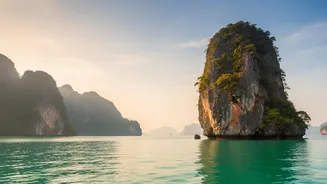 What Indian Tourists Must Know About Revised Digital Arrival Cards In Southeast Asia