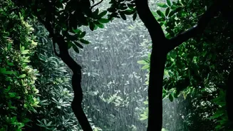 Stay Prepared For Sudden Showers Across Western Ghats Routes