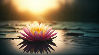 Embrace Your True Self: Thich Nhat Hanh's Wisdom on Beauty and Self-Acceptance