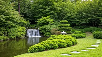 Feeling Stressed? Quick Tips for a Fresh Start!