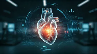 Youth Heart Crisis: Unpacking the Modern Lifestyle's Toll on Young Hearts