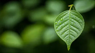 Why Mindful Meals Matter More During The Rainy Season