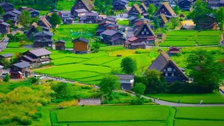 Discover Picturesque Green Sanctuaries Tucked Away In Japan Most Bustling Metropolitan Hubs