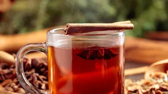 Cold-Brewed Nilgiri Tea: A Refreshing Beverage Loaded With Health-Promoting Plant Antioxidants