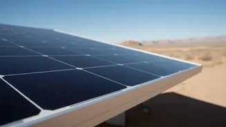 Squid Ink Melanin Research Yields Protective Bio-Synthetic Coating For Extreme Outdoor Solar