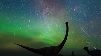 The Perseids Need Clear Horizons, Low Light and Enough Waiting Time