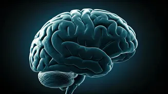 Unpacking Cognitive Decline: Speech Analysis Insights