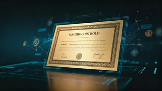 Smart Gen Z Investors Diversify Portfolios Buying Sovereign Gold Bonds