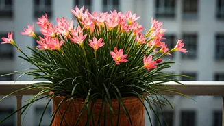 Turn Your Balcony Into A Fragrant Riot Of Monsoon Lilies
