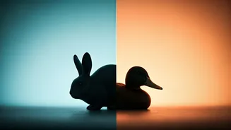 Rabbit or Duck? Your First Glimpse Reveals Your Emotional Nature