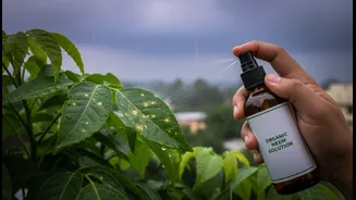 How Organic Neem Spray Buffers Balcony Planters Against Aggressive Monsoon Fungal Spore Spread