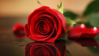 Malaika Arora's Journey After Breakup