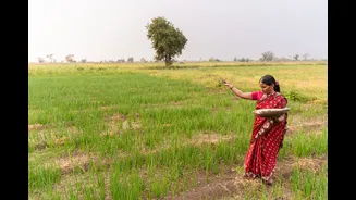 Maharashtra farmers are sweating June's final week — kharif sowing hangs in the balance