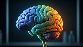 Taming the Anxious Brain: A Neurologist's Guide to Finding Calm