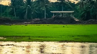 Assam's Monsoon Beauty Is Inspiring A New Wave Of Travellers