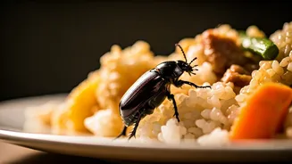 Vande Bharat Food Scandal: Fines and Contract Termination Over Insect-Infested Meals