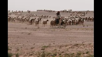 How Two Secret Israeli Outposts Operated Undetected In Iraq’s Western Desert