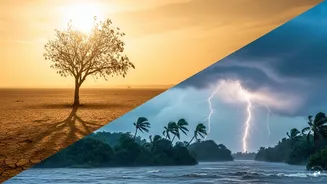 Monsoon pushes ahead while heatwave tightens grip on northern plains
