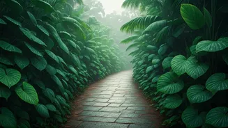 Why The Southwest Monsoon Is Perfect Excuse For Kerala