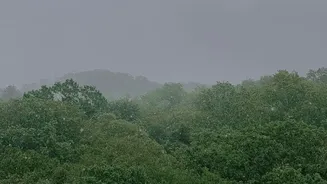 Start Local Monsoon Assessment with City Rainfall, Not Just a National Monsoon Label after Bengaluru's Unusually Dry July