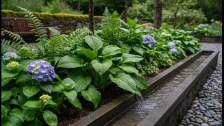 Heavy Rain Doesn't Have to Mean Unhealthy Plants This Monsoon