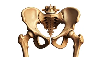 Stay Active! 3 Exercises to Combat Desk-Bound Hip Pain