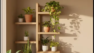 Transform Small Spaces With Effortless Indoor Greenery